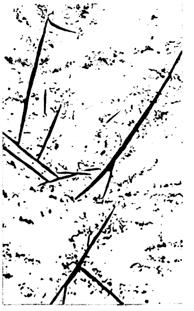 ГОСТ 3443-87 Отливки из чугуна с различной формой графита. Методы определения структуры