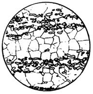 ГОСТ 5640-68 Сталь. Металлографический метод оценки микроструктуры листов и ленты